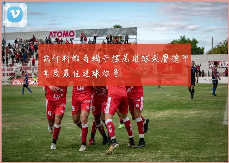 武什科维奇蝎子摆尾进球荣膺德甲年度最佳进球称号